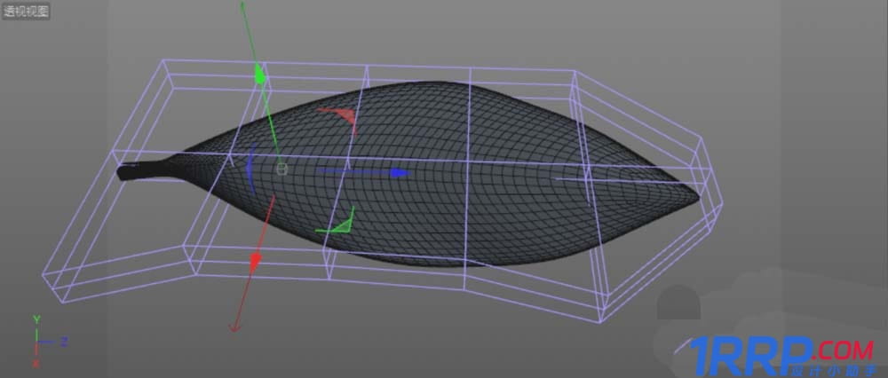 C4D設計實例教程：C4D畫一片綠色葉子的方法
